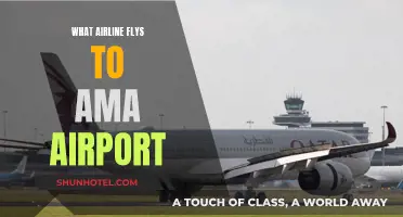 Best Airlines Flying to AMA Airport