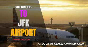 JFK Airport: Airlines Serving New York's Global Gateway