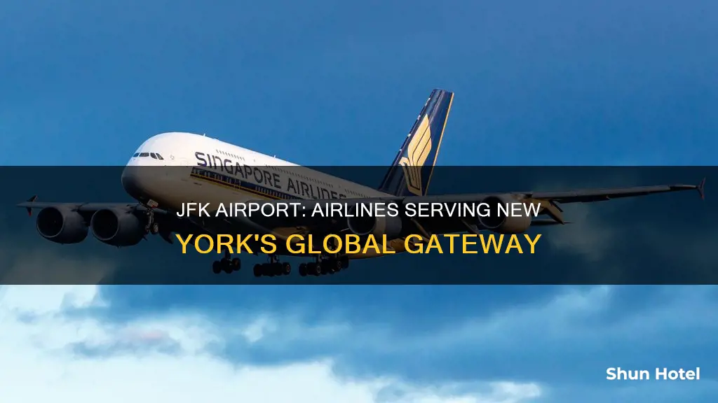 what airline goes to jfk airport