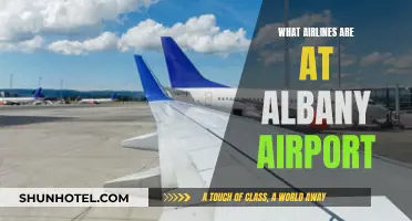Albany Airport's Airlines: Who Flies From Here?