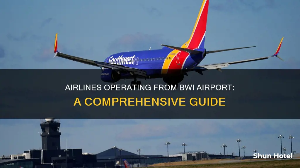 what airlines are at bwi airport