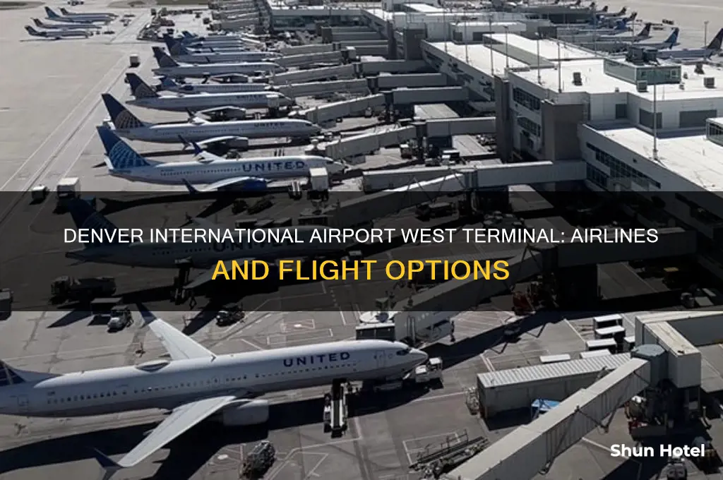 what airlines are at denver international airport west terminal