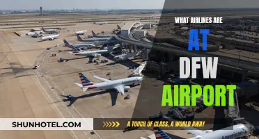 DFW Airport: Airlines Hub and Home