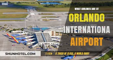 Orlando International Airport Airlines: Your Comprehensive Carrier Guide