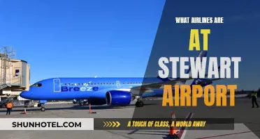 Airlines Operating from Stewart Airport: A Comprehensive Guide