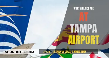 Tampa Airport Airlines: A Comprehensive Guide to Carriers