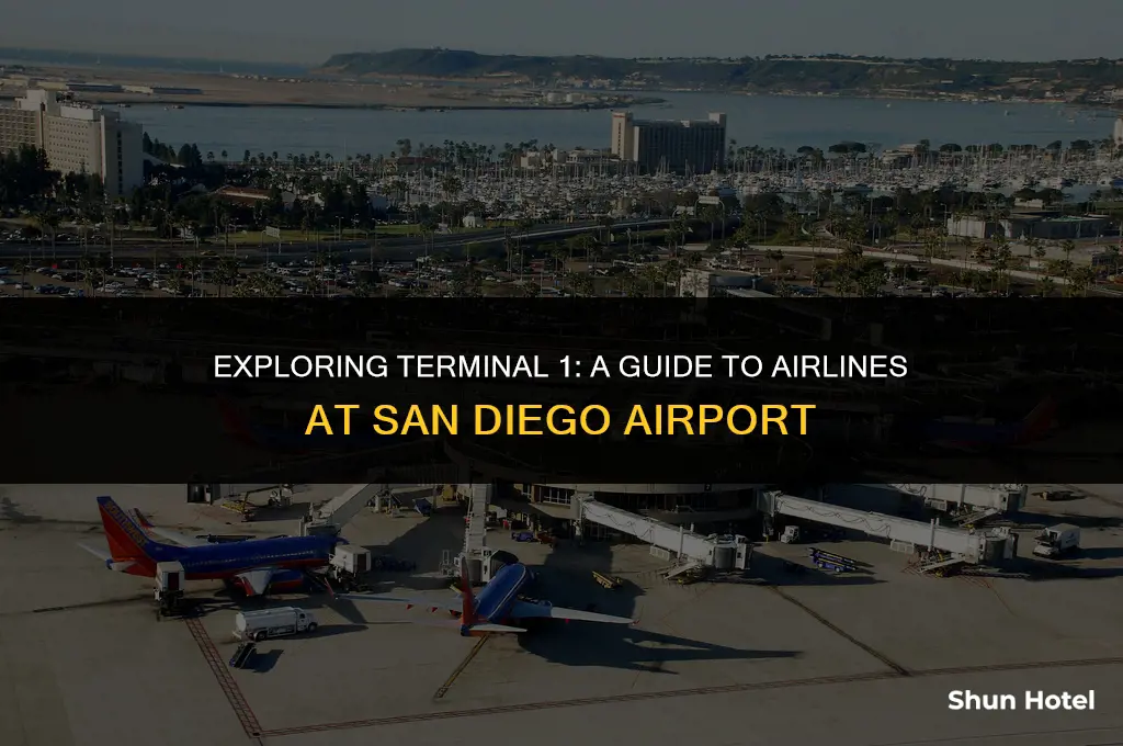 what airlines are in terminal 1 at san diego airport