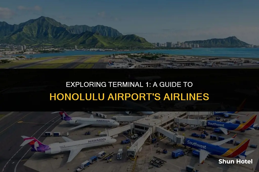 what airlines are in terminal 1 of honolulu airport