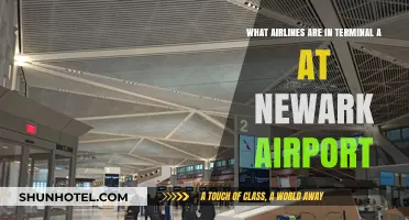 Exploring Newark Airport: Airlines in Terminal A