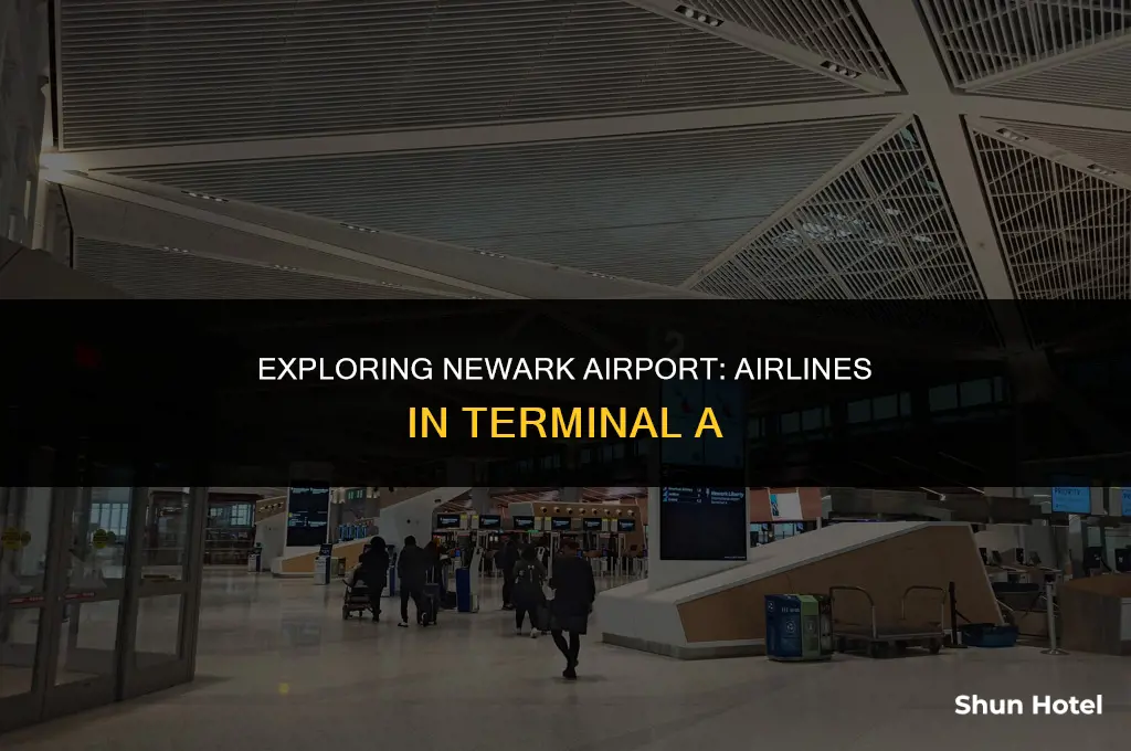 what airlines are in terminal a at newark airport