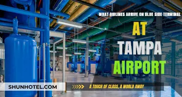 Tampa Airport Blue Side Terminal: Arriving Airlines Guide