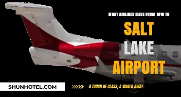 DFW to Salt Lake City: Airlines Offering Direct Flights