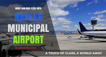 Airlines Serving Naples Municipal Airport: Your Comprehensive Flight Guide