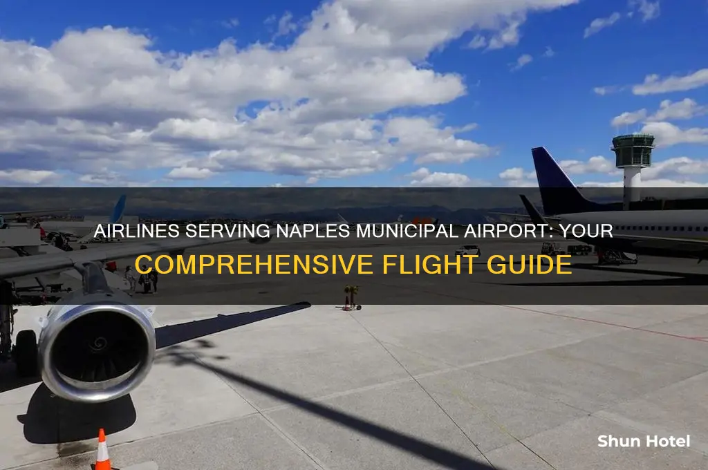 what airlines flies into naples municipal airport
