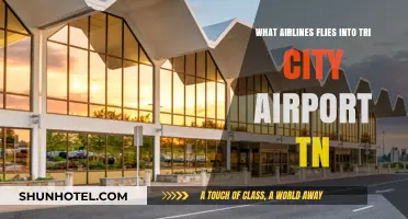 Airlines Serving Tri-City Airport TN: Your Comprehensive Flight Guide