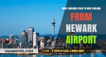 Airlines Offering Direct Flights from Newark to New Zealand