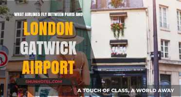 Airlines Connecting Paris to London Gatwick: Your Comprehensive Flight Guide