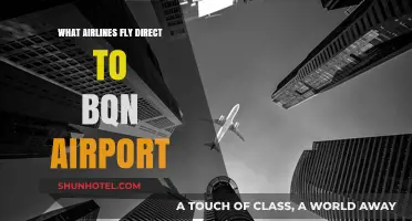 Direct Flights to BQN Airport: Which Airlines Offer Nonstop Service?