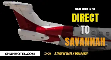 Direct Flights to Savannah: Airlines Offering Nonstop Travel Options