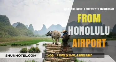 Direct Flights from Honolulu to Amsterdam: Airlines and Routes