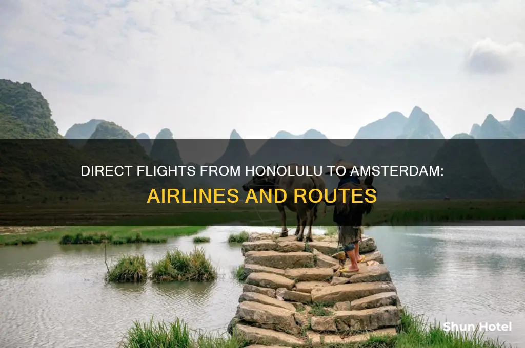 what airlines fly directly to amsterdam from honolulu airport
