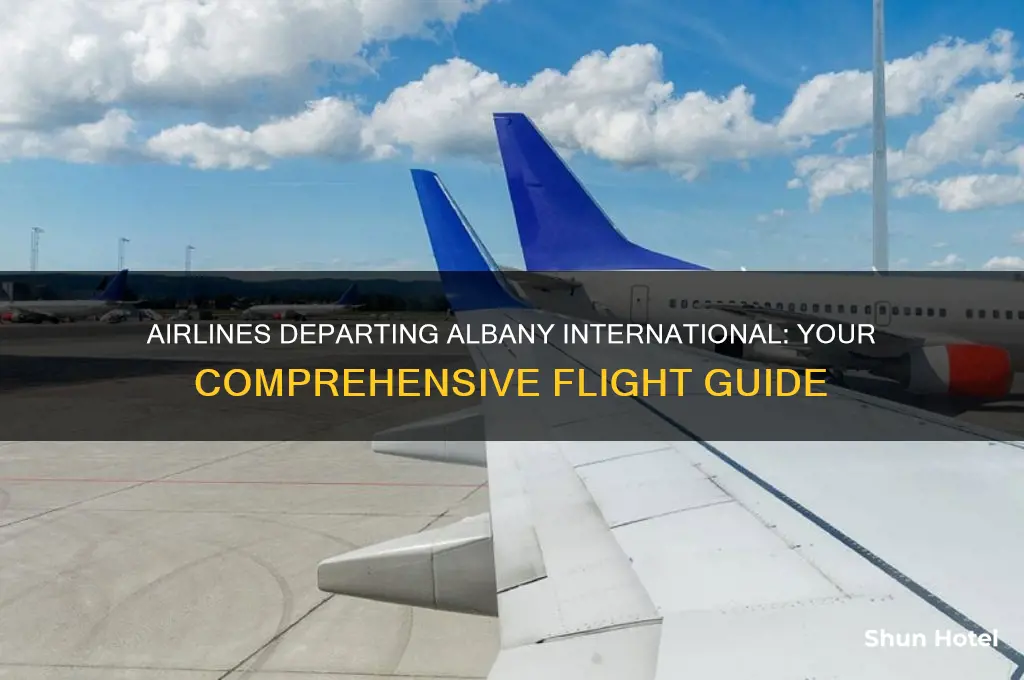 what airlines fly from albany international airport