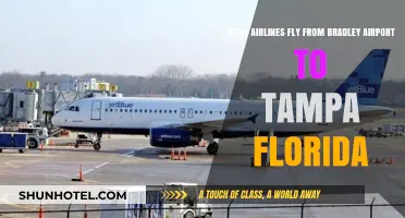 Bradley Airport to Tampa: Airlines Offering Direct Flights