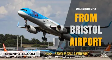 Airlines Operating from Bristol Airport: Your Comprehensive Flight Guide