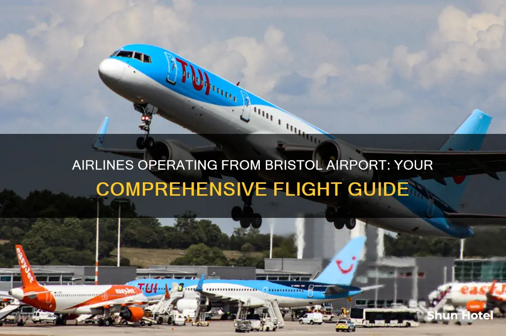 what airlines fly from bristol airport