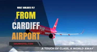 Airlines Operating from Cardiff Airport: Your Comprehensive Flight Guide