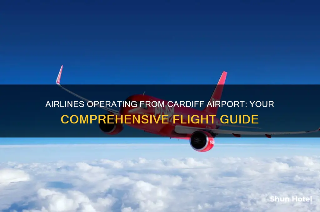 what airlines fly from cardiff airport