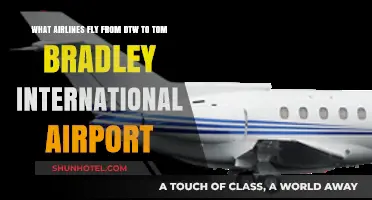 Airlines Connecting DTW to Tom Bradley International Airport: Your Guide