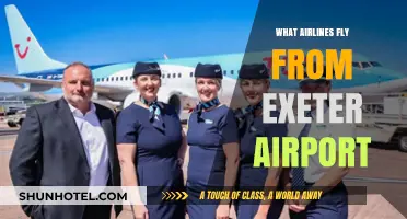 Airlines Departing Exeter Airport: Your Comprehensive Flight Guide