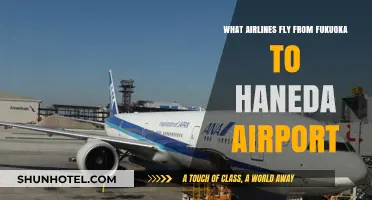 Fukuoka to Haneda: Airlines Offering Direct Flights to Tokyo