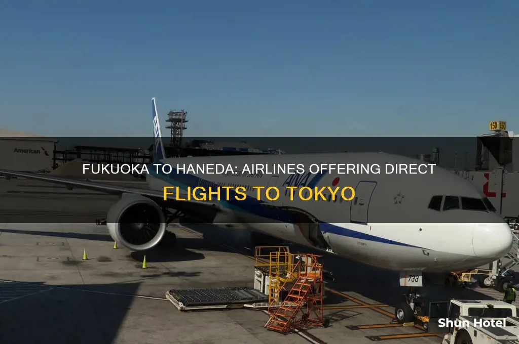 what airlines fly from fukuoka to haneda airport