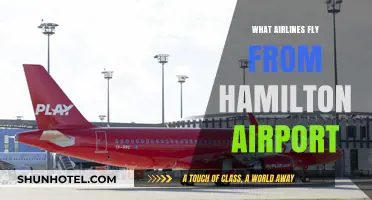 Airlines Departing from Hamilton Airport: Your Comprehensive Flight Guide