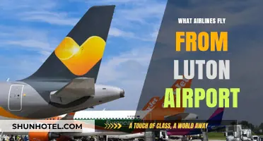 Airlines Operating from Luton Airport: Your Comprehensive Flight Guide