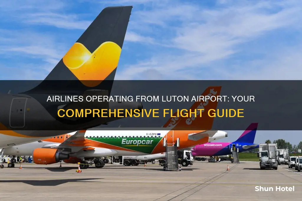 what airlines fly from luton airport