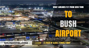 Airlines Flying from New York to Bush Airport: Your Travel Guide