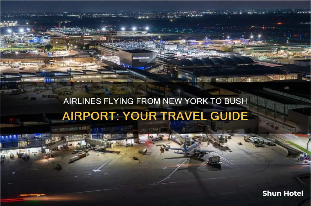 what airlines fly from new york to bush airport