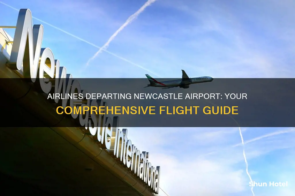 what airlines fly from newcastle airport