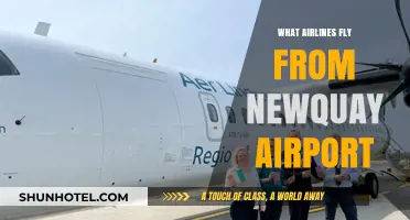 Airlines Departing Newquay Airport: Your Comprehensive Flight Guide