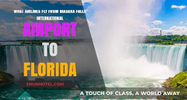 Airlines Connecting Niagara Falls International Airport to Florida Destinations