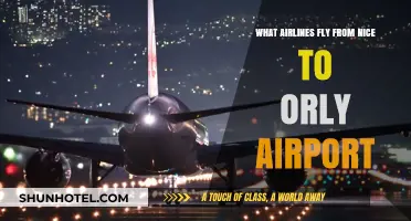 Nice to Orly: Airlines Offering Direct Flights to Paris