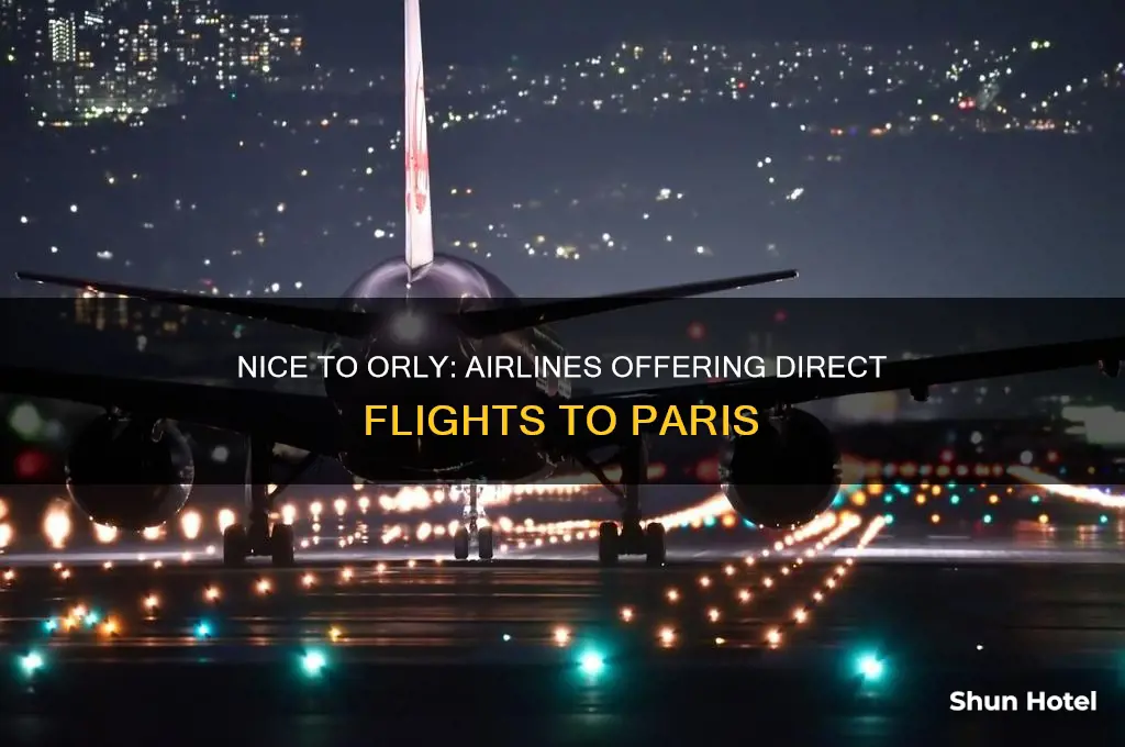 what airlines fly from nice to orly airport