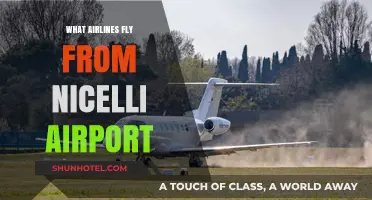 Airlines Departing Nicelli Airport: Your Comprehensive Flight Guide