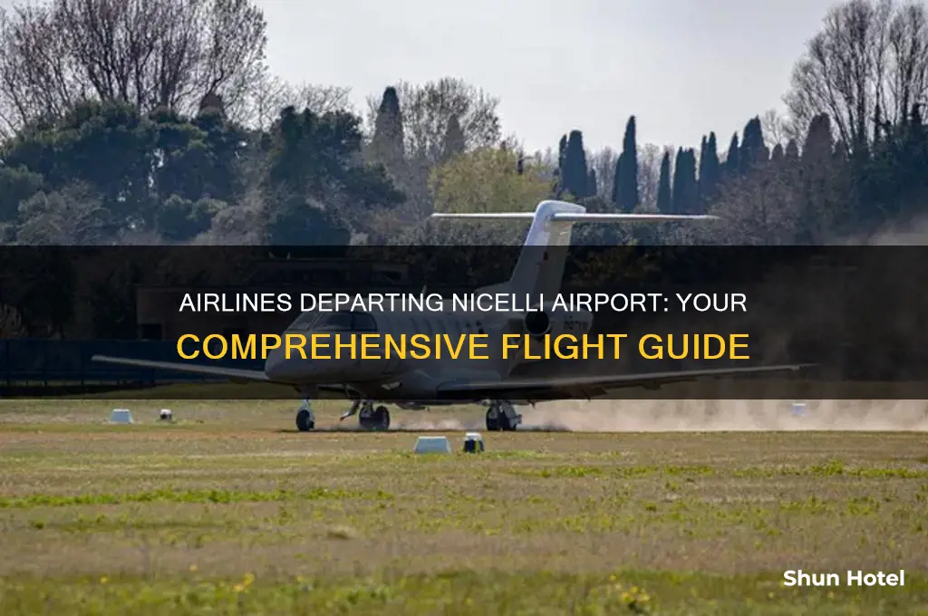 what airlines fly from nicelli airport
