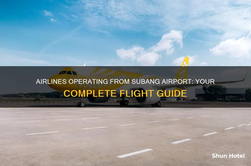 what airlines fly from subang airport
