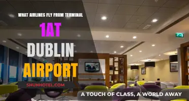 Airlines Operating from Terminal 1 at Dublin Airport: A Comprehensive Guide