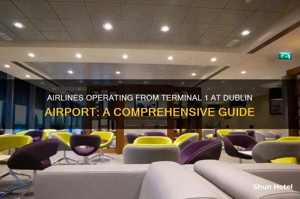 what airlines fly from terminal 1at dublin airport